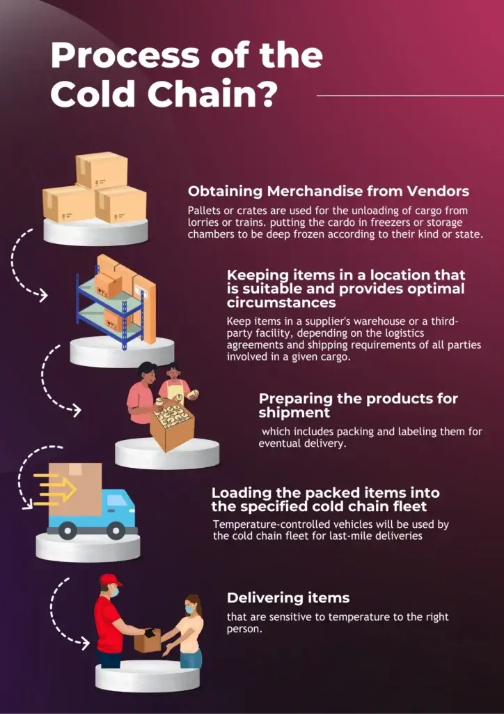 What Is the Process of the Cold Chain?